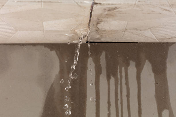Professional Structural Drying technician working in Brohman, MI